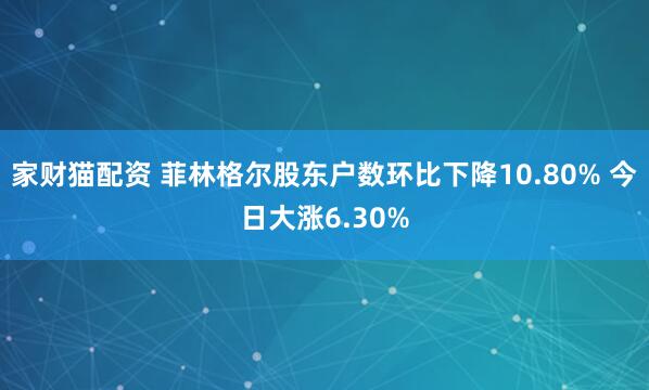 家财猫配资 菲林格尔股东户数环比下降10.80% 今日大涨6.30%